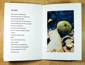 artist's book britte age